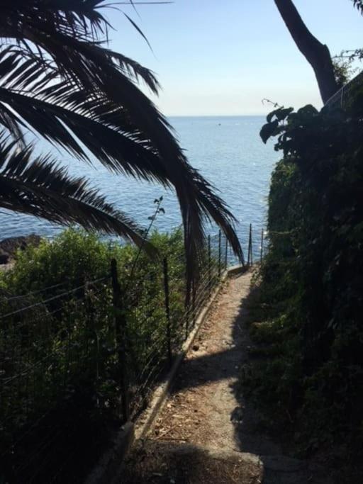 New Sul Mare N. 2 Apartment Recco